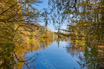 Beautiful pond