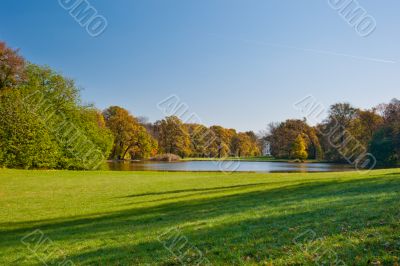 Meadow and pond