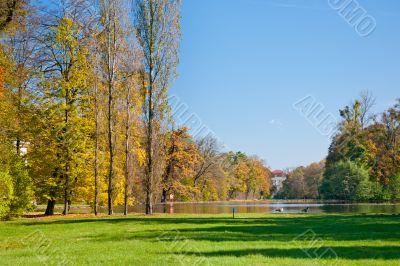 Pond and meadow