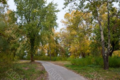 Autumn park