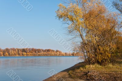 Autumn landscape