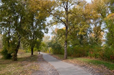 Autumn park