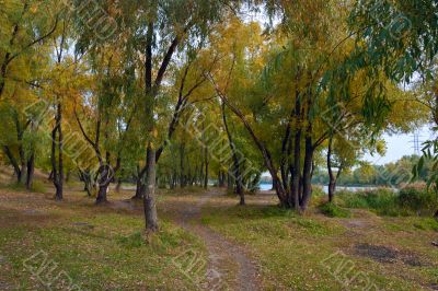 Autumn park