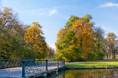 Bridge in the park