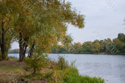 Autumn park