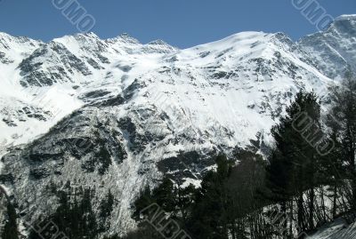 Mountain and the forest