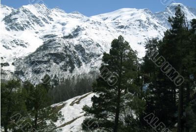 Mountain and the forest