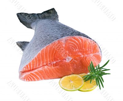 salmon