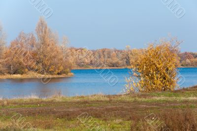 Golden autumn