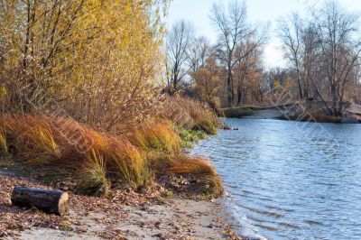 River bank
