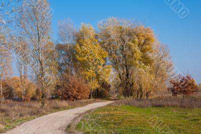 autumn park