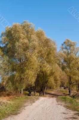 autumn park