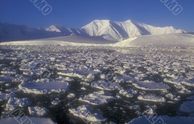 Antarctica