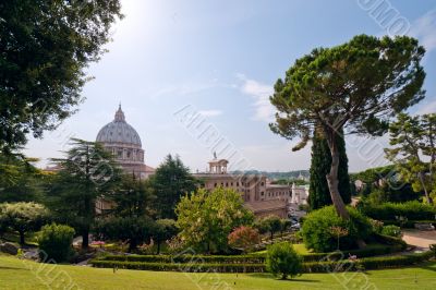 View at the St Peter`s Basillica