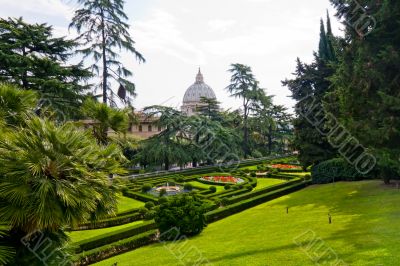 View at the St Peter`s Basillica