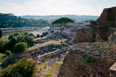 Domus Augustana and Circus Maximus