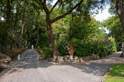 Walk in the Vatican Gardens