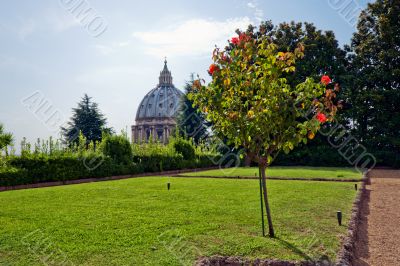 Vatican gardens