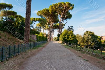 Walk in the park
