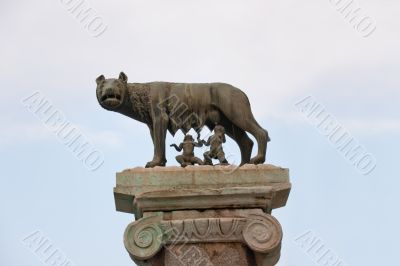 Loba Capitolina