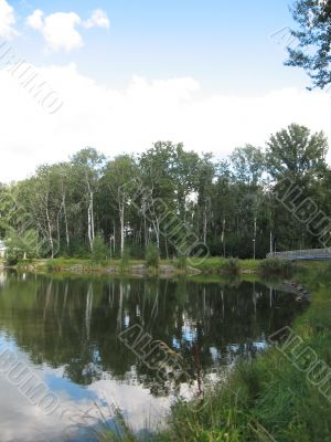 summer rural landscape with forest and river