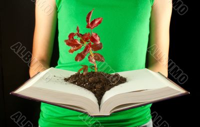 Woman with open book and seedling grown from it