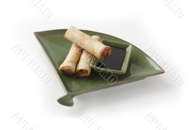 Crispy chinese roll