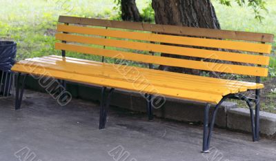 bench