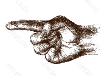 The hand