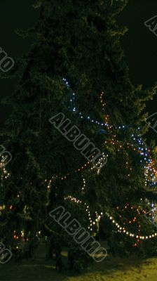 Christmas tree. Celebration