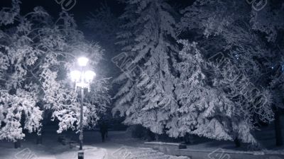 Winter landscape monochrome