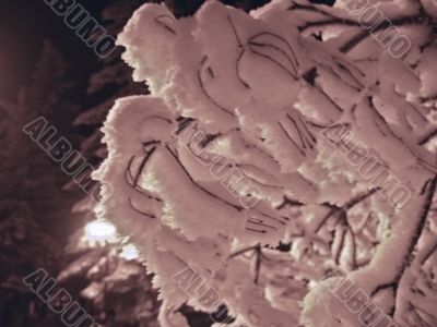 Brunches under the snow