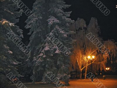 Winter landscape monochrome