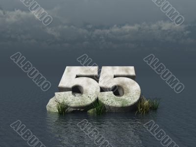 fifty five