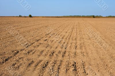 Furrows in the field