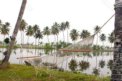 hammock