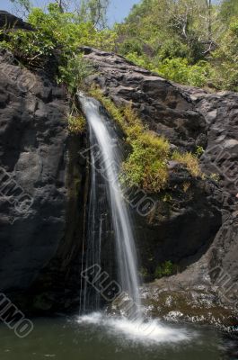 Agasthiyar falls