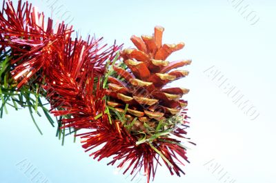 Pine cone