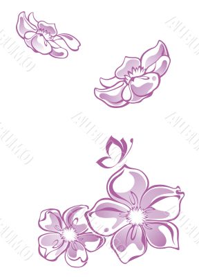  Flower 