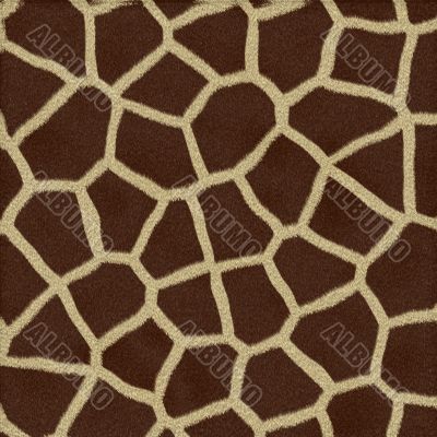 Giraffe skin texture