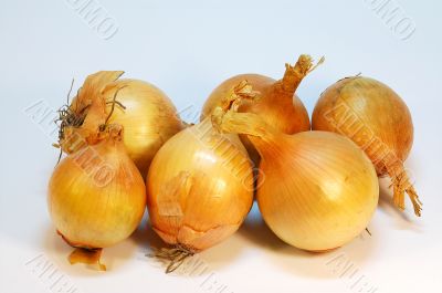 Onions