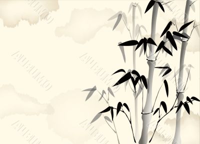  bamboo