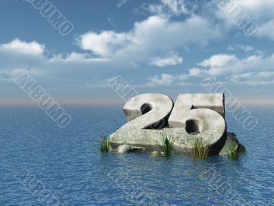 twenty five