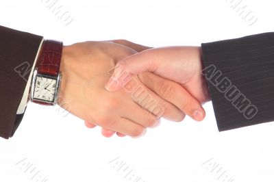 hand shake