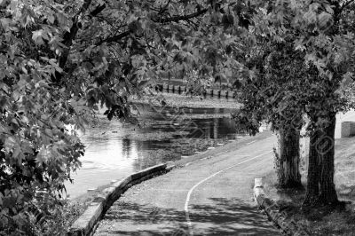 The walkway by the pond