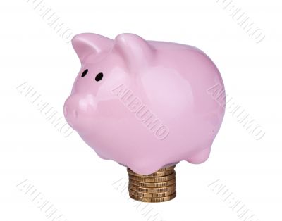 piggy bank