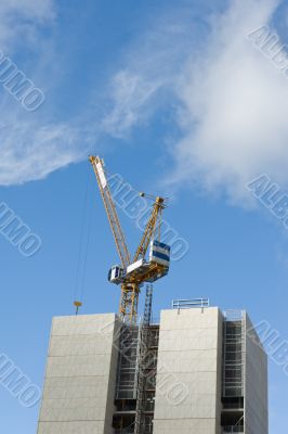 Construction crane