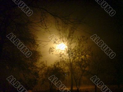 Autumn evening and street lamps