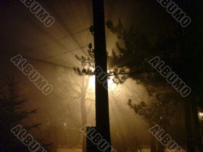 Autumn evening and street lamps