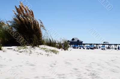 the Clearwater Beach